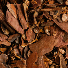 Dried cascara sagrada bark pieces